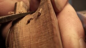 Photo Michel Groppe 32