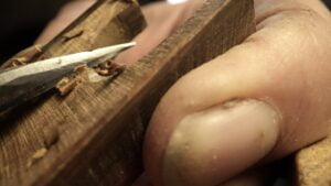 Photo Michel Groppe 33