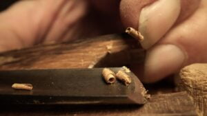 Photo Michel Groppe 41